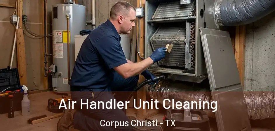  Air Handler Unit Cleaning Corpus Christi - TX
