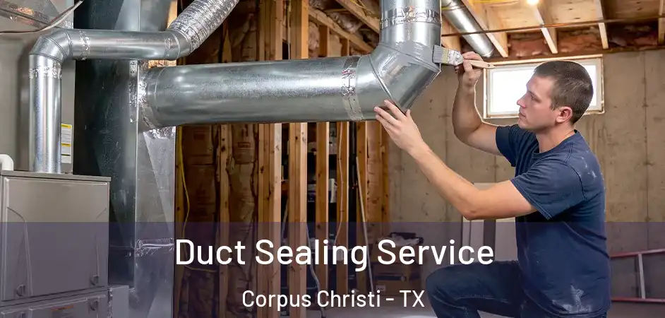  Duct Sealing Service Corpus Christi - TX