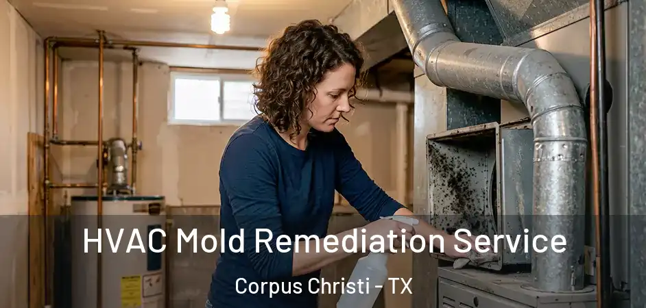 HVAC Mold Remediation Service Corpus Christi - TX