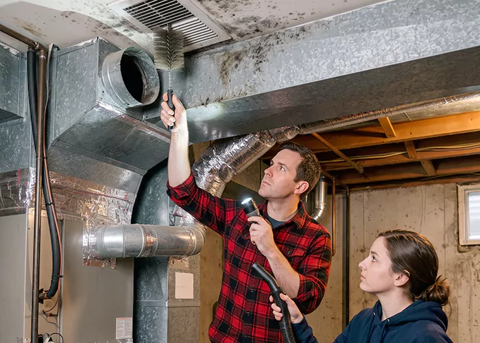 Premier HVAC Mold Remediation Company in Corpus Christi
